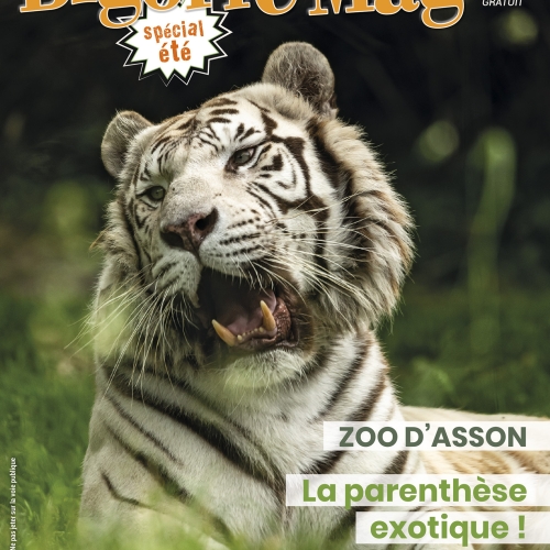 BIGORRE MAG N264-ETE-couv aout-p01 ss FP