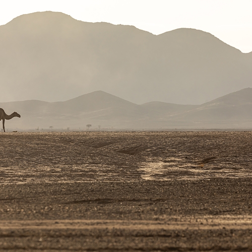 Tourisme Escapade Maroc
