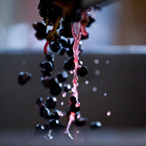 domaine-madiran