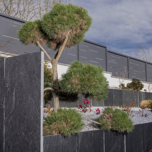 jardin